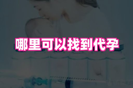 香港助孕网 1