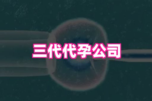 香港助孕网 3